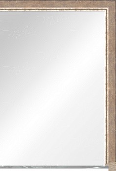 Зеркало в раме 7901.979 Зеркало в раме 7901.979